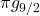 \pi{g}_{9/2}