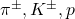 \pi^{\pm}, K^{\pm}, p