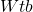 \boldmath{Wtb}