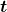 \boldsymbol{t}