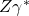 Z\gamma^*