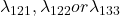 \lambda_{121},\lambda_{122} or \lambda_{133}