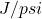 J/psi
