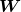 \boldsymbol{W}