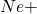 Ne +