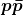\boldsymbol{p\bar{p}}