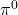 \pi^0