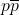 p\overline{p}