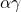 \alpha \gamma