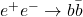 e^+e^- \rightarrow b\bar{b}