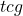 tcg