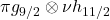 \pi g_{9/2}\otimes \nu h_{11/2}