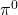 \pi^{0}