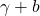 \gamma+b