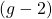 (g-2)