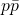 \bm{p\bar{p}}